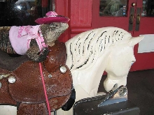 Ride 'em Cowgirl