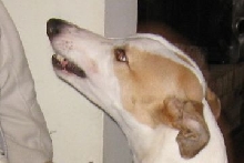 Dakota smiling face