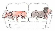 Greys on sofa (drawing)