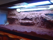 Dragon Tank, almost complete