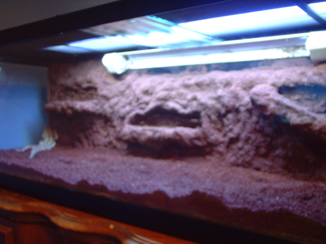 Dragon Tank, almost complete