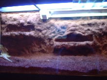 and another picture
