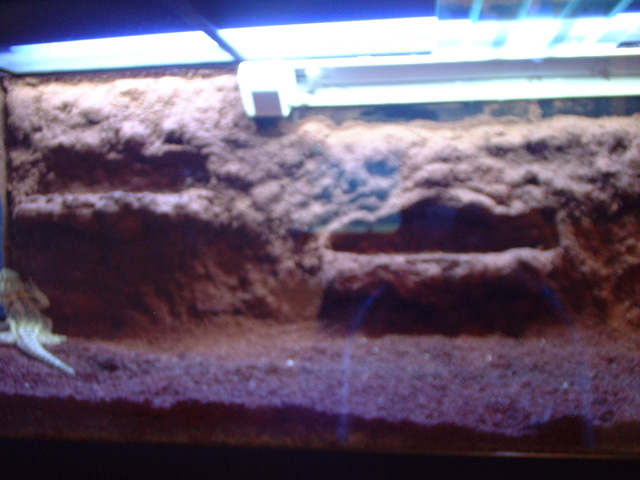 and another picture