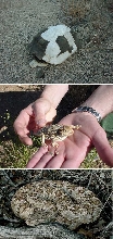 Other cool stuff we saw hiking East of Riverside