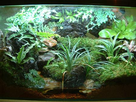 My Little Vivarium