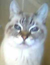 Norton-age 20