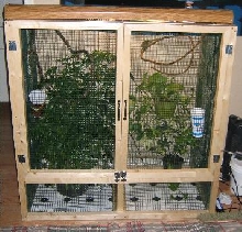 Home Made Cham cage