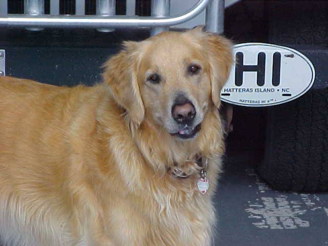 Barney HI