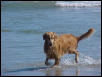 Barney fishing 10-19-02
