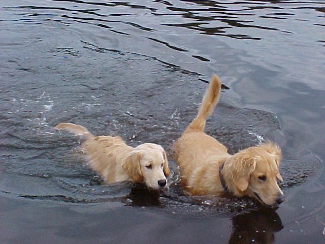 Barney teaching Sailor