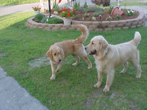 Sailor & Paris 6-15-03