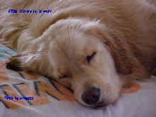 Time to snooze