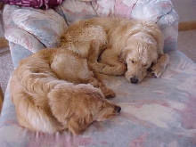 sleeping peacefully