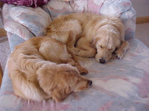 sleeping peacefully