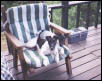 Dixie & Marvin
