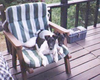 Dixie & Marvin
