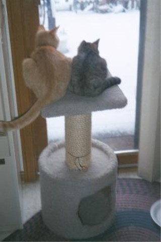 Sammi and Katy on kitty cabana