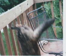 katrina jumping off rail jun2005