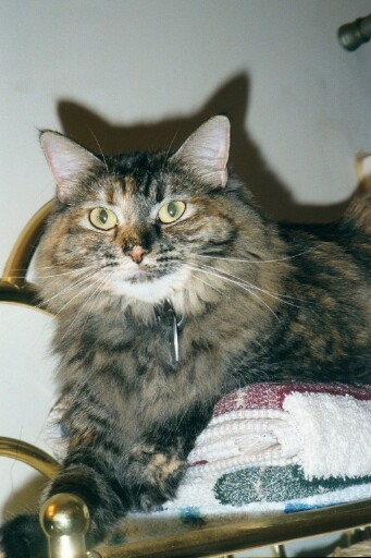 Katrina on towels