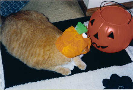 Samantha the Pumpkinhead