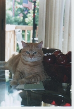 sammi and apples Jun2005