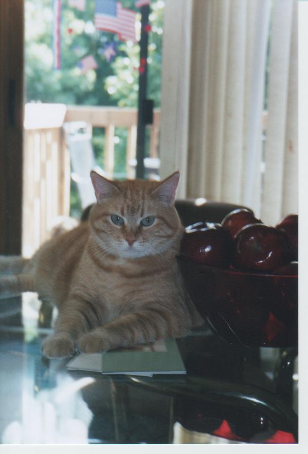 sammi and apples Jun2005