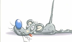 birthday present mouse