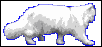 animated .gif white kitty walking