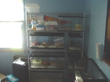 my  leopard gecko rack