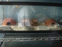 one of my leopard gecko tanks
