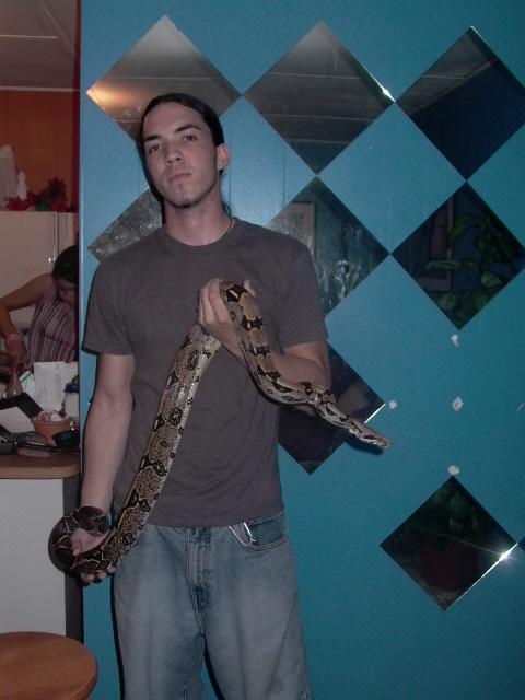 COLOMBIAN RED TAIL