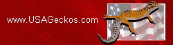 Logo With Address