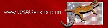 logo link