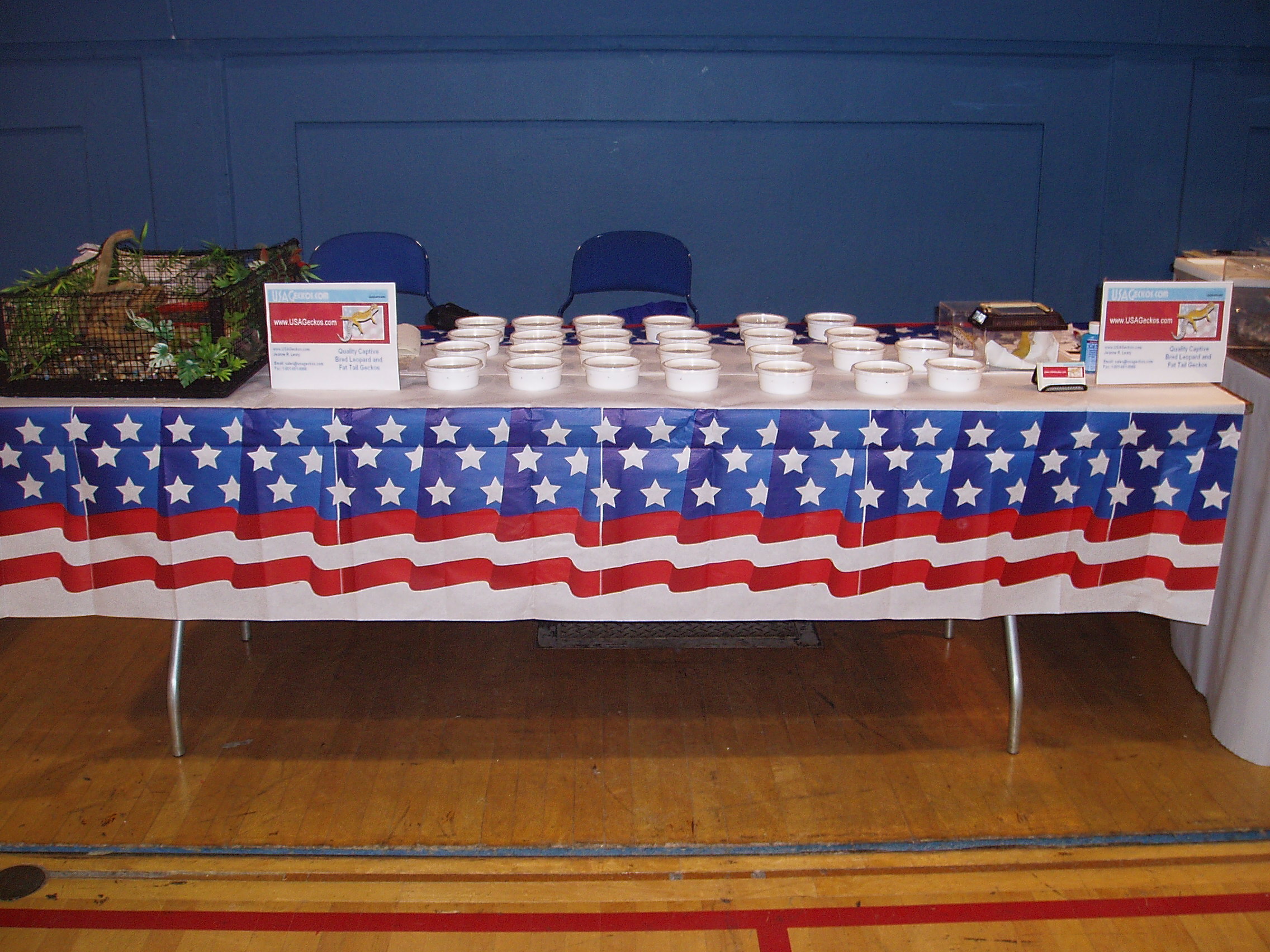 My table at the NY Reptile Show