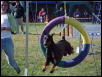 Klein does the tire!