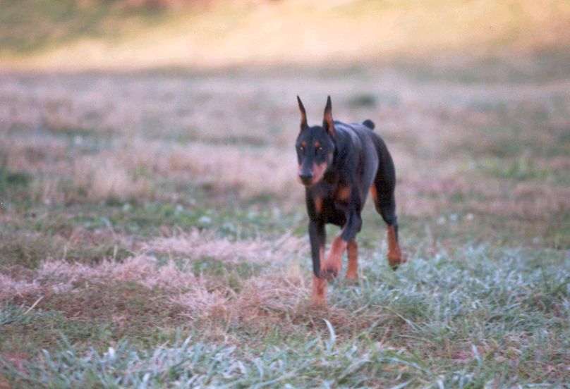 Klein running