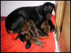 Susie and the kids