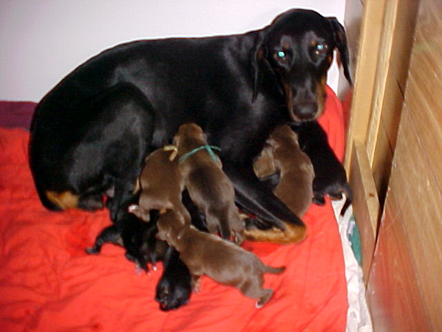 Susie and the kids