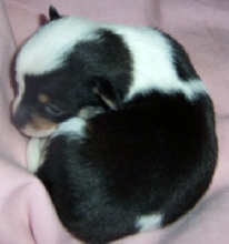 Beautiful Baby