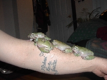 4 buddies