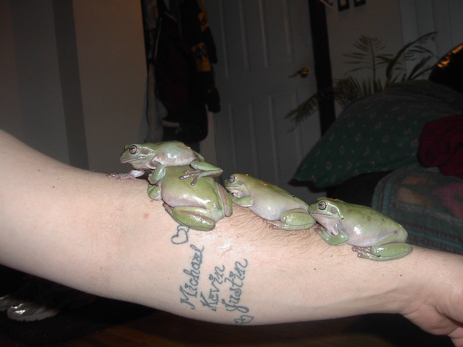 4 buddies