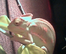 My little girl