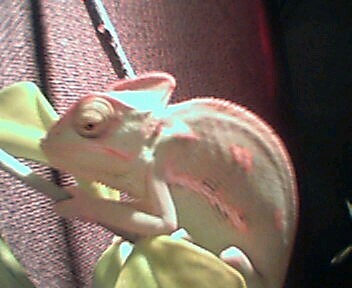 My little girl