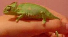 lil guy is growing