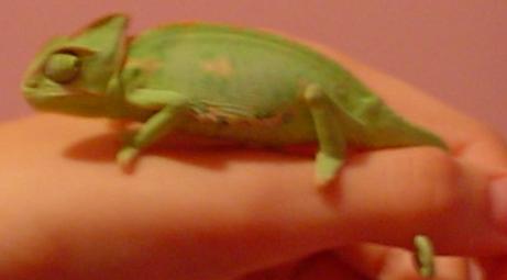 lil guy is growing