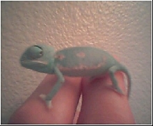 how does he look