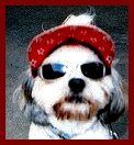 cool dude