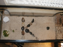 Koopa1