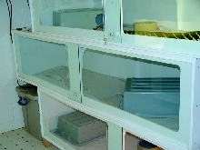 cag