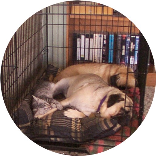 Nap time after a hard day at play